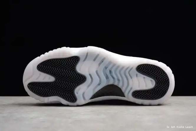 528895-010 Retro Jordan 